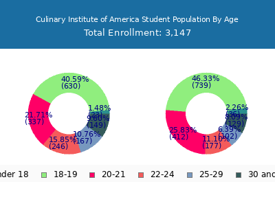 Culinary Institute of America 2025 Student Population Age Diversity Pie chart