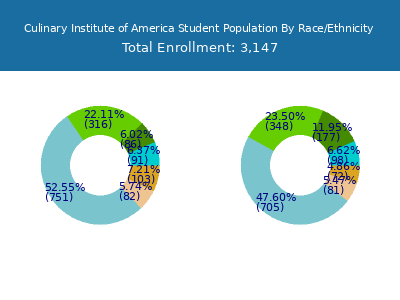 Culinary Institute of America 2025 Student Population by Gender and Race chart