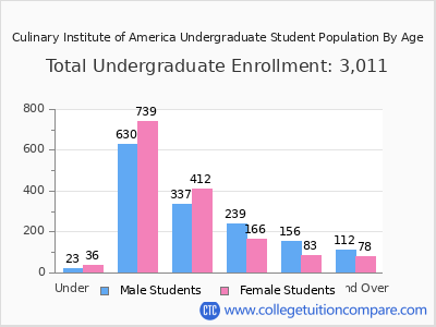 Culinary Institute of America 2025 Undergraduate Enrollment by Age chart