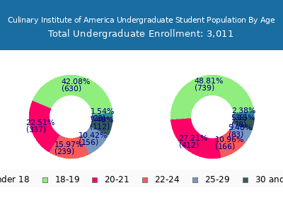 Culinary Institute of America 2025 Undergraduate Enrollment Age Diversity Pie chart