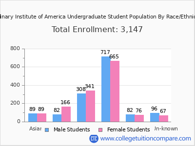 Culinary Institute of America 2025 Undergraduate Enrollment by Gender and Race chart