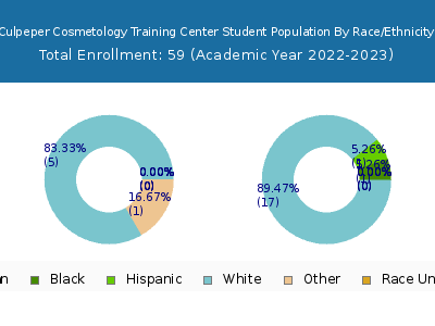 Culpeper Cosmetology Training Center 2023 Student Population by Gender and Race chart