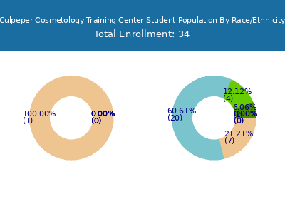 Culpeper Cosmetology Training Center 2025 Student Population by Gender and Race chart