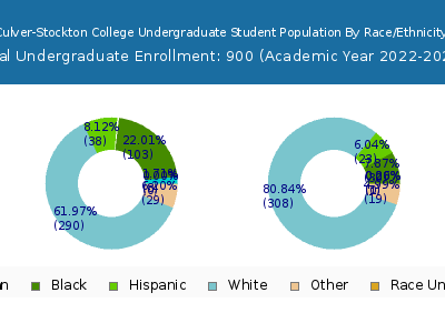 Culver-Stockton College 2023 Undergraduate Enrollment by Gender and Race chart