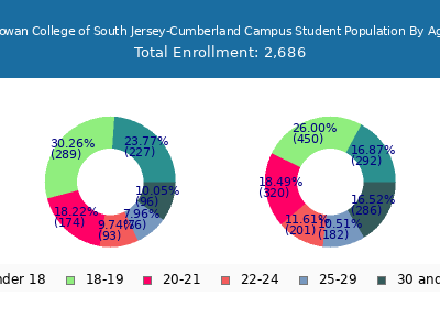Rowan College of South Jersey-Cumberland Campus 2025 Student Population Age Diversity Pie chart