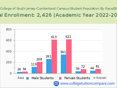 Rowan College of South Jersey-Cumberland Campus 2023 Student Population by Gender and Race chart