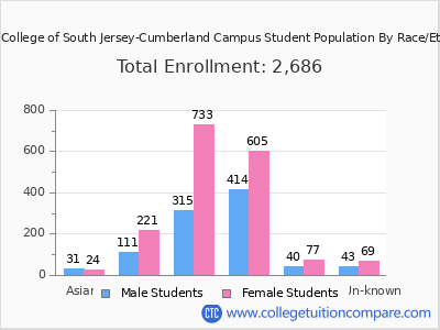 Rowan College of South Jersey-Cumberland Campus 2025 Student Population by Gender and Race chart