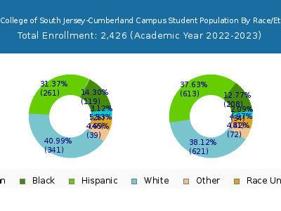 Rowan College of South Jersey-Cumberland Campus 2023 Student Population by Gender and Race chart