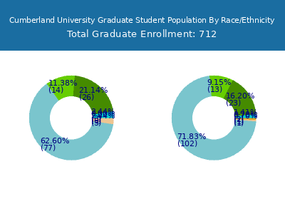 Cumberland University 2025 Graduate Enrollment by Gender and Race chart