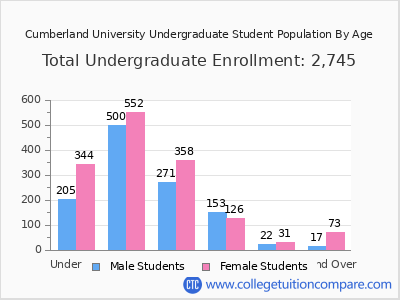 Cumberland University 2024 Undergraduate Enrollment by Age chart