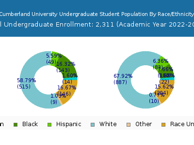 Cumberland University 2023 Undergraduate Enrollment by Gender and Race chart