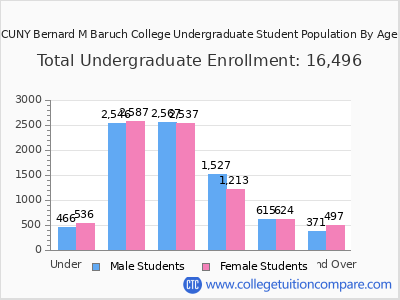 CUNY Bernard M Baruch College 2024 Undergraduate Enrollment by Age chart