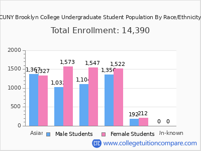 CUNY Brooklyn College 2025 Undergraduate Enrollment by Gender and Race chart