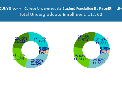 CUNY Brooklyn College 2025 Undergraduate Enrollment by Gender and Race chart