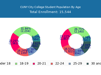 CUNY City College 2024 Student Population Age Diversity Pie chart