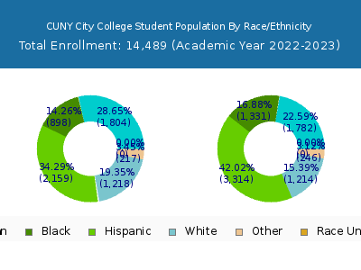 CUNY City College 2023 Student Population by Gender and Race chart