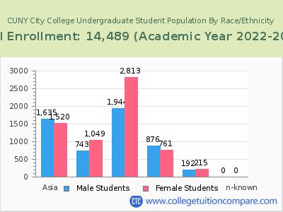 CUNY City College 2023 Undergraduate Enrollment by Gender and Race chart