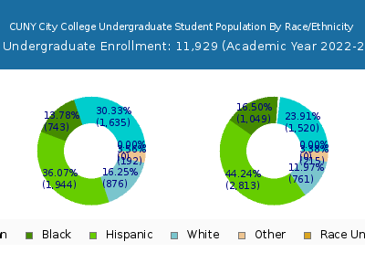 CUNY City College 2023 Undergraduate Enrollment by Gender and Race chart