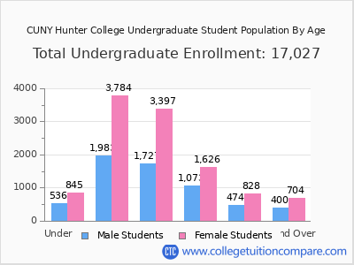 CUNY Hunter College 2024 Undergraduate Enrollment by Age chart
