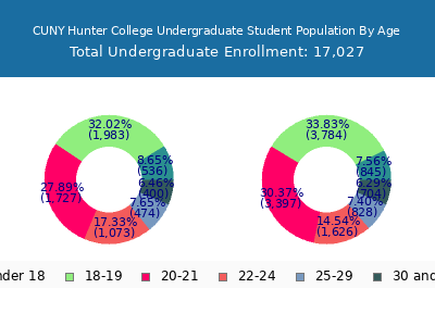 CUNY Hunter College 2024 Undergraduate Enrollment Age Diversity Pie chart