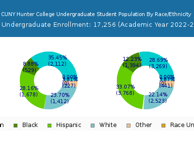 CUNY Hunter College 2023 Undergraduate Enrollment by Gender and Race chart