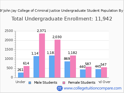 CUNY John Jay College of Criminal Justice 2024 Undergraduate Enrollment by Age chart