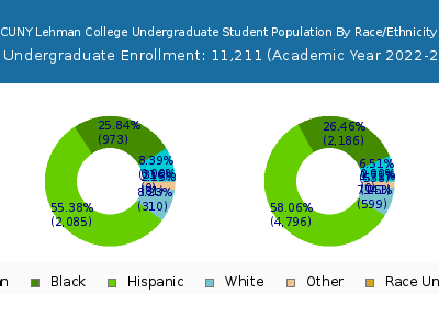 CUNY Lehman College 2023 Undergraduate Enrollment by Gender and Race chart