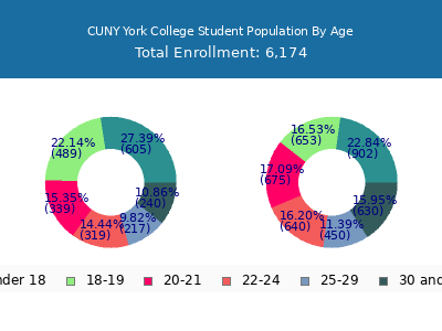 CUNY York College 2024 Student Population Age Diversity Pie chart