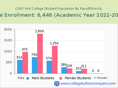 CUNY York College 2023 Student Population by Gender and Race chart