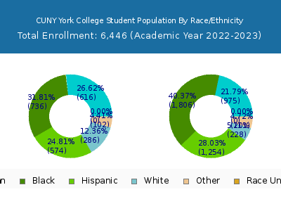 CUNY York College 2023 Student Population by Gender and Race chart