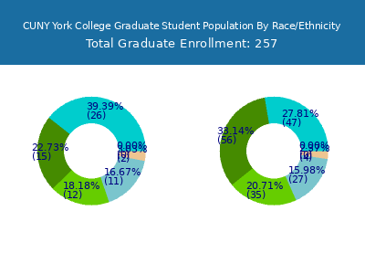 CUNY York College 2025 Graduate Enrollment by Gender and Race chart