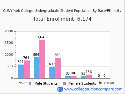 CUNY York College 2025 Undergraduate Enrollment by Gender and Race chart