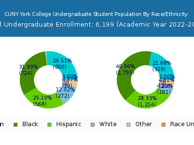 CUNY York College 2023 Undergraduate Enrollment by Gender and Race chart