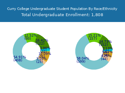 Curry College 2025 Undergraduate Enrollment by Gender and Race chart