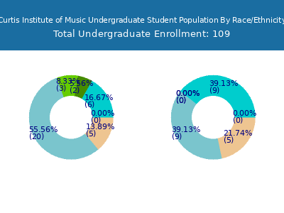 Curtis Institute of Music 2025 Undergraduate Enrollment by Gender and Race chart