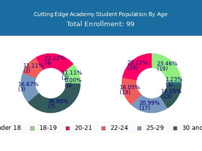 Cutting Edge Academy 2025 Student Population Age Diversity Pie chart
