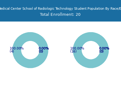 CVPH Medical Center School of Radiologic Technology 2025 Student Population by Gender and Race chart
