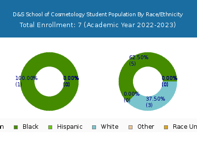 D&S School of Cosmetology 2023 Student Population by Gender and Race chart