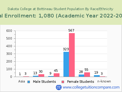 Dakota College at Bottineau 2023 Student Population by Gender and Race chart