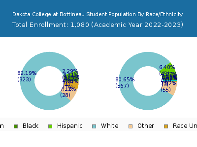 Dakota College at Bottineau 2023 Student Population by Gender and Race chart