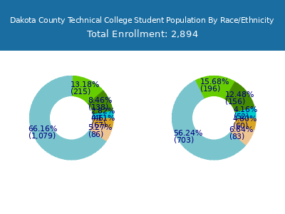 Dakota County Technical College 2025 Student Population by Gender and Race chart