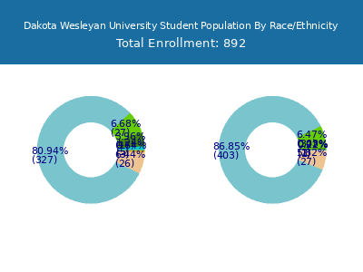 Dakota Wesleyan University 2025 Student Population by Gender and Race chart