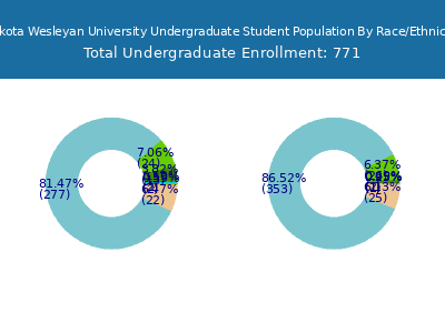 Dakota Wesleyan University 2025 Undergraduate Enrollment by Gender and Race chart
