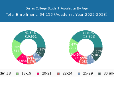 Dallas College 2023 Student Population Age Diversity Pie chart