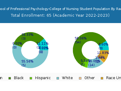 Chicago School of Professional Psychology-College of Nursing 2023 Student Population by Gender and Race chart