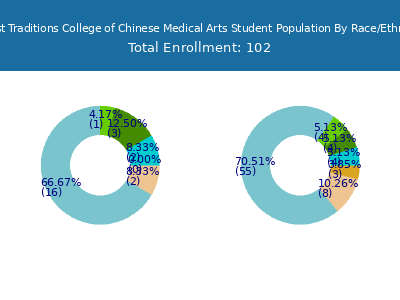 Daoist Traditions College of Chinese Medical Arts 2025 Student Population by Gender and Race chart