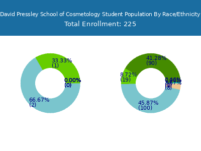 David Pressley School of Cosmetology 2025 Student Population by Gender and Race chart