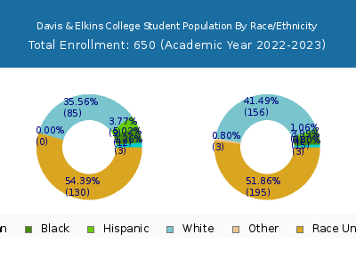 Davis & Elkins College 2023 Student Population by Gender and Race chart