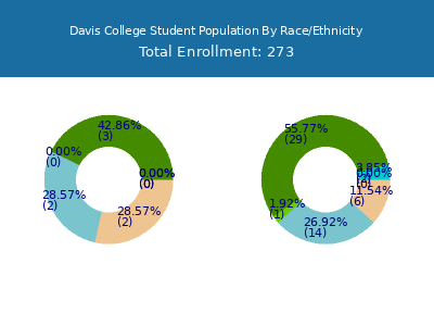 Davis College 2025 Student Population by Gender and Race chart