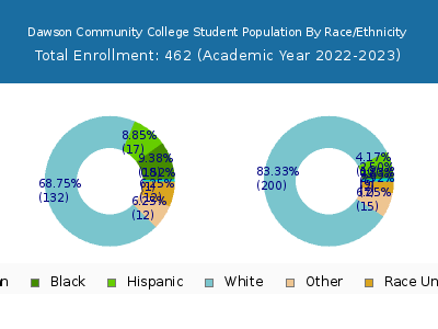 Dawson Community College 2023 Student Population by Gender and Race chart
